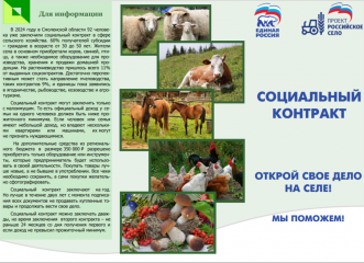 социальный контракт. Открой свое дело на селе - 2 социальный контракт. Открой свое дело на селе - фото - 2