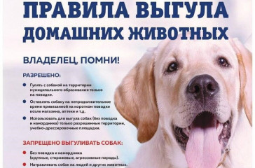 прокурор разъясняет: Установлена ответственность за нарушения правил выгула и других требований к содержанию домашних животных - фото - 1