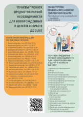 для смоленских родителей открыли пункты проката вещей для малышей - фото - 1
