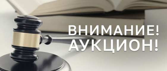 аукцион по лотам - фото - 1
