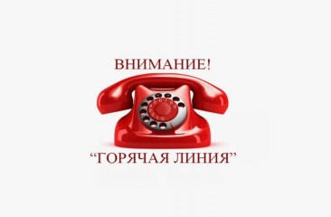 «горячая линия» - фото - 1