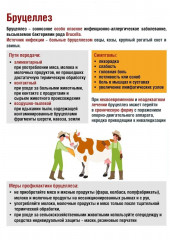 бруцеллёз — инфекционное заболевание, которое передаётся от животных к человеку - фото - 1
