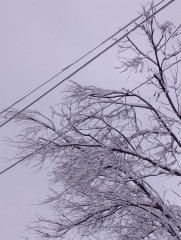 энергетики "Смоленскэнерго" готовятся к непогоде - фото - 1