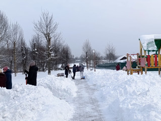 снегу — нет, порядку — да - фото - 1