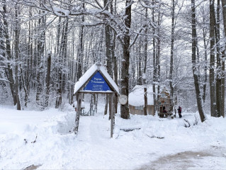 окунитесь в праздник - фото - 1