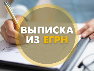изменились форма и формат запроса выписки из Единого государственного реестра налогоплательщиков - фото - 1