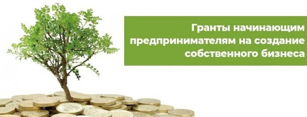 на Смоленщине начинающие предприниматели могут получить грант на развитие бизнеса - фото - 1