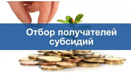 об отборе на предоставление субсидий субъектам МСП - фото - 1