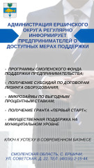 встреча заместителя Главы муниципального образования «Ершичский муниципальный округ» Смоленской области Н.А. Петровой с индивидуальным предпринимателем - фото - 1
