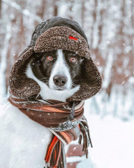 дорогие жители Ершичского округа - фото - 1