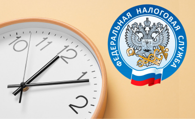 отчитаться в ГИР БО за 2025 год необходимо до 31 марта - фото - 1