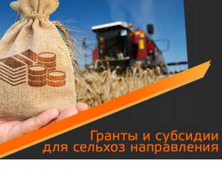 «актуальные меры государственной поддержки аграрного сектора: субсидии, льготное кредитование, грантовая поддержка и социальные контракты» - фото - 1