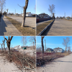 все на субботник - фото - 4