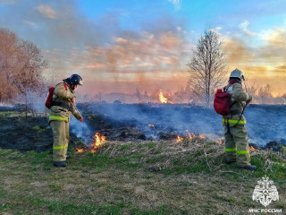 неутешительные цифры статистики палов травы - фото - 1