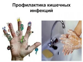 основные меры профилактики острых кишечных инфекций - фото - 1