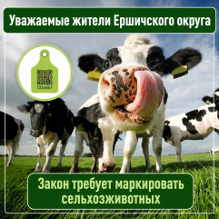 внимание - фото - 1