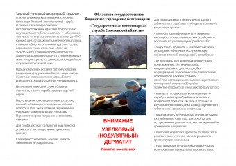 внимание УЗЕЛКОВЫЙ (НОДУЛЯРНЫЙ) ДЕРМАТИТ Памятка населению - фото - 1
