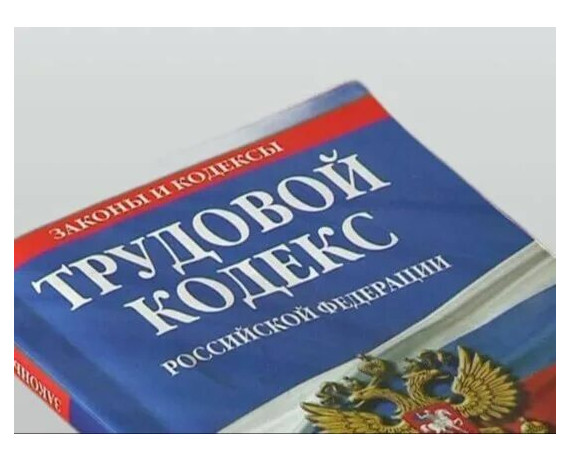 о внесении изменений в Трудовой кодекс Российской Федерации - фото - 1