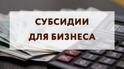 предоставление субсидий субъектам МСП,  заключившим договор (договоры) лизинга оборудования с российскими лизинговыми организациями, на возмещение части затрат на уплату первого взноса (аванса) - фото - 1