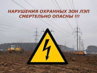 невидимая зона риска: когда перед работами на садовом участке нужно сообщить энергетикам - фото - 1