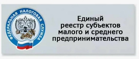 реестр МСП: что это такое, как в него попасть и почему это важно для бизнеса - фото - 1